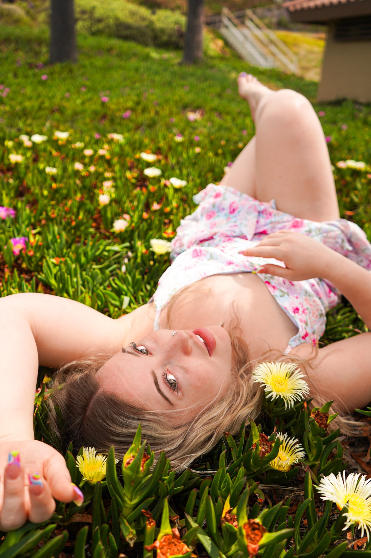 Petal Crown Story